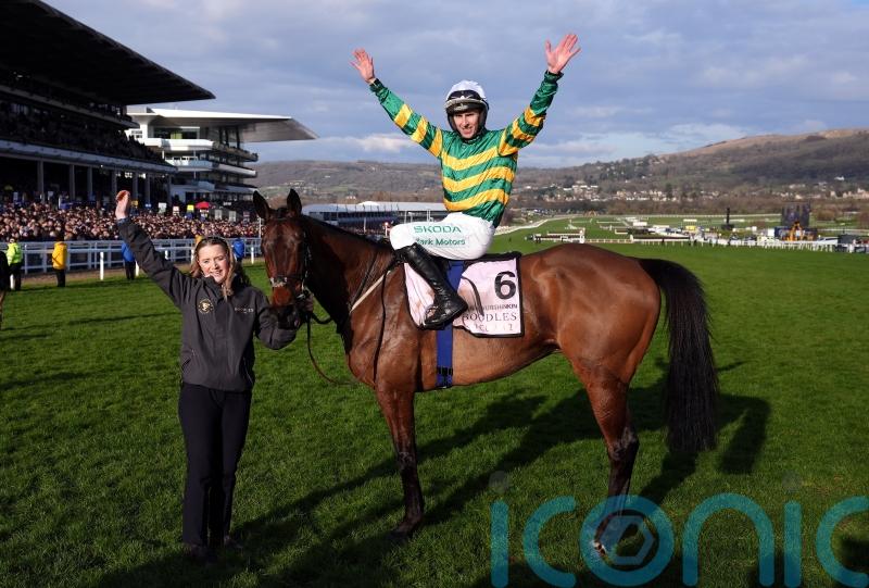 Inothewayurthinkin among 11-strong Gold Cup field