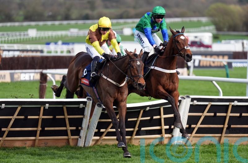 King Rasko Grey powers to Turners glory for Mullins