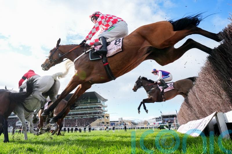 Henderson hopes to be back for another go at the Gold Cup with Jango Baie