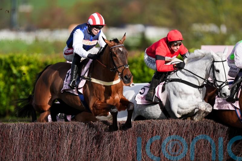 Harry Redknapp rues lost week as Cheltenham Gold Cup dream is dashed