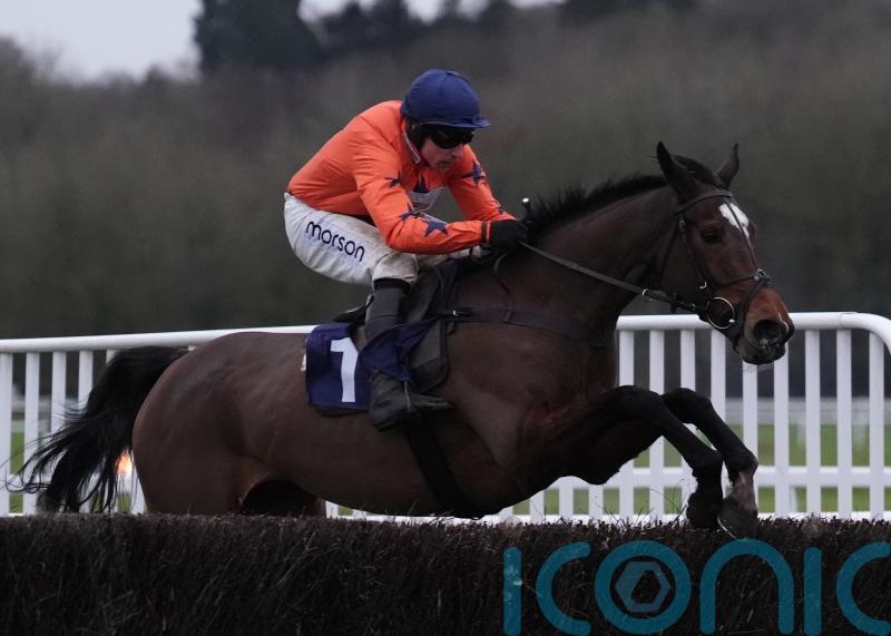 Panic Attack ran &lsquo;beautiful National trial&rsquo; at Cheltenham