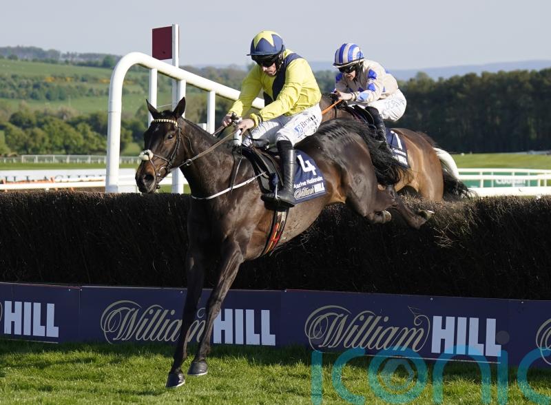 Marine Nationale set to start Punchestown prep