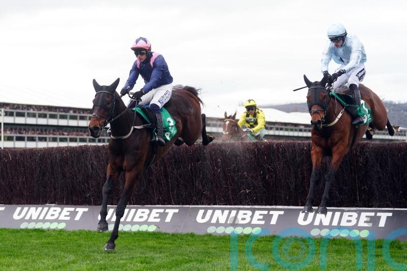 Kopek Des Bordes thriving since Cheltenham reverse
