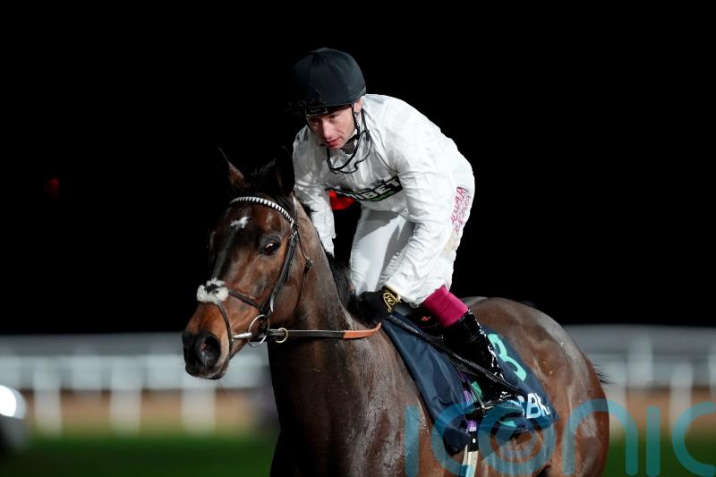 Constitution Hill poised for second Flat outing at Kempton