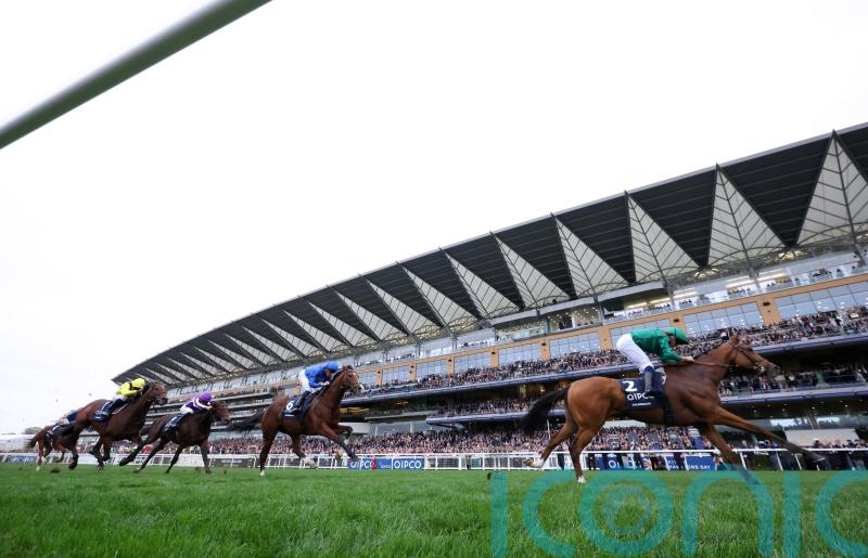 Calandagan given the nod for Sheema Classic bid