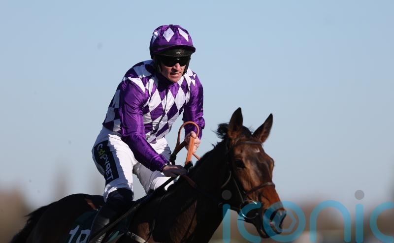 Lady Hope springs 33-1 shock in Goffs Hundred Grand Bumper