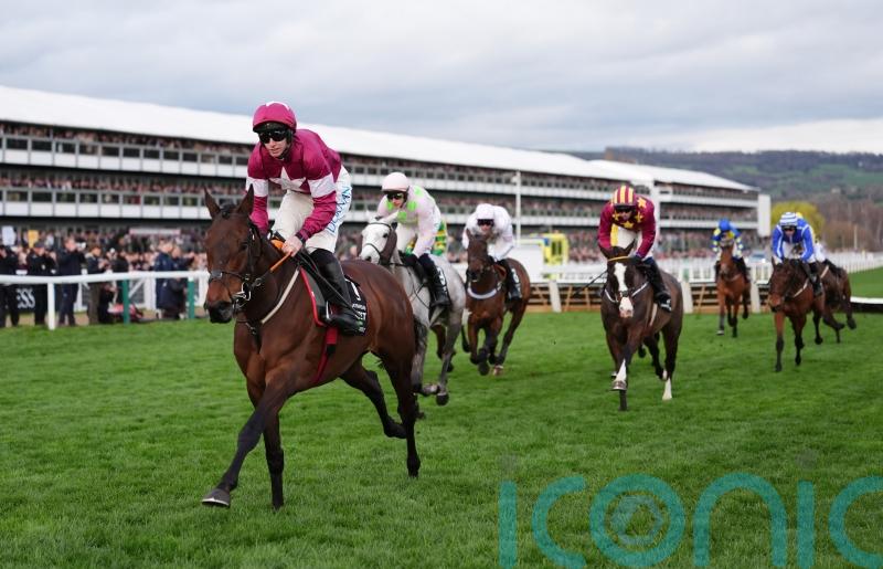 Aintree Hurdle awaits Brighterdaysahead before going chasing