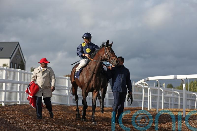 Eternal Force out to provide sixth Lincoln for Haggas