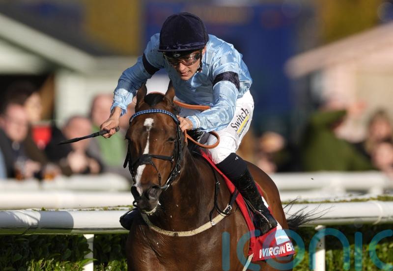 Spycatcher ticking all the boxes for Cammidge defence