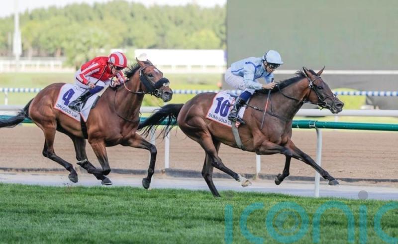 Fairy Glen strikes for the Crisfords in Dubai Gold Cup