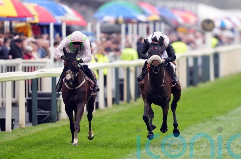 Mange Tout reverses form with Selma De Vary at Aintree