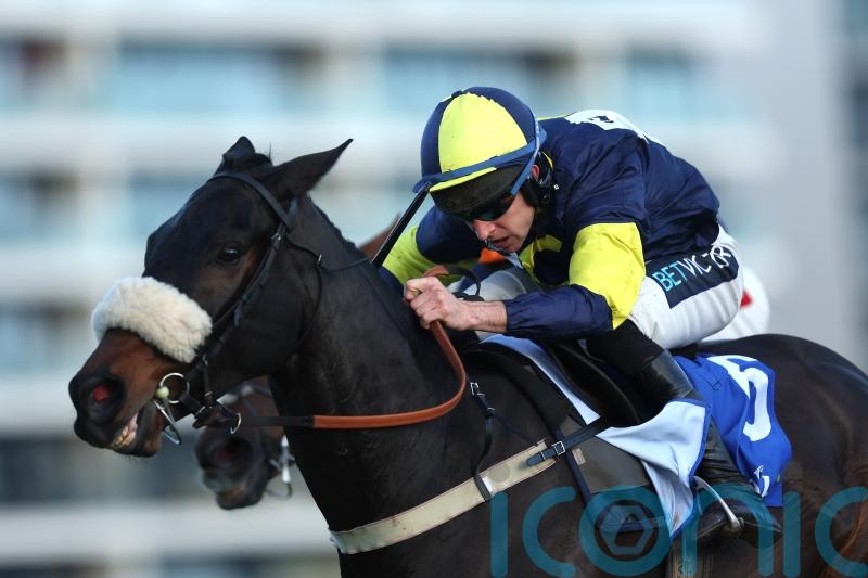 Wendigo out for Cheltenham compensation in the Mildmay