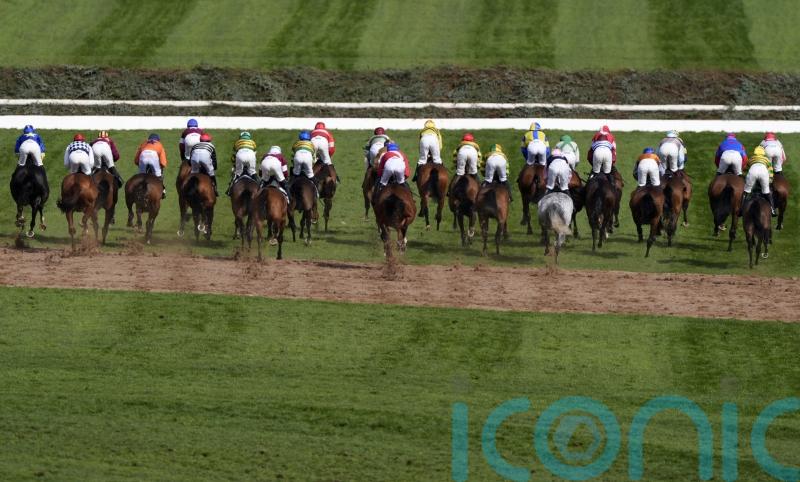 Three runners undergoing veterinary assessment following National