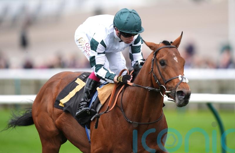 Double Rush creates big impression on first run for Balding