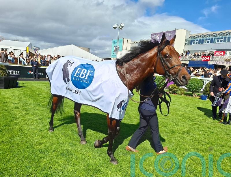 The Lion In Winter makes winning start at Leopardstown