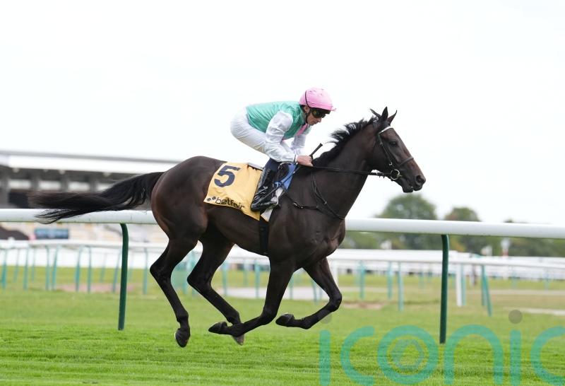 Connections expecting Publish to be back for an autumn campaign