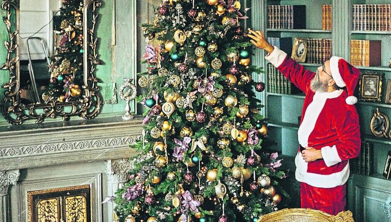 Green Fingers: Oh Christmas tree... how do I care for thee?