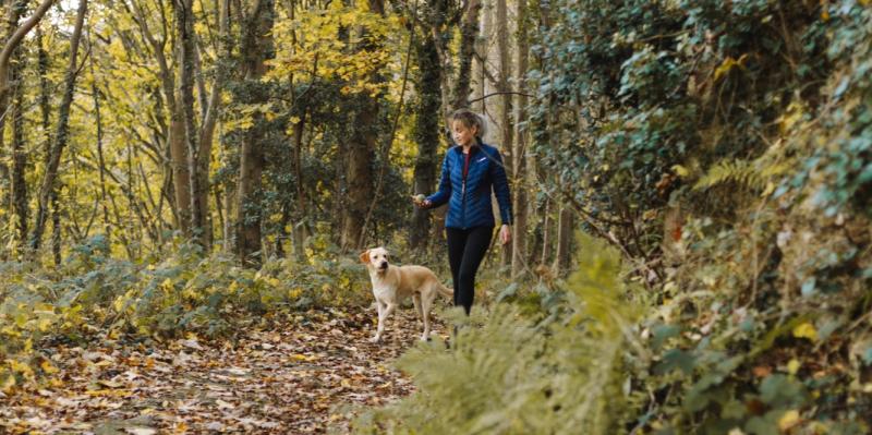 Wild About Wildlife: Exploring an exciting townland  