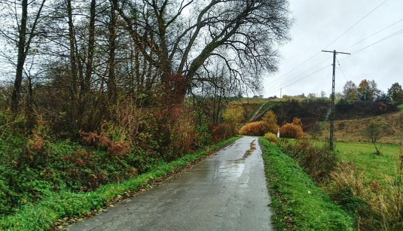 Limerick councillors criticise ‘ridiculous’ hedge cutting restrictions