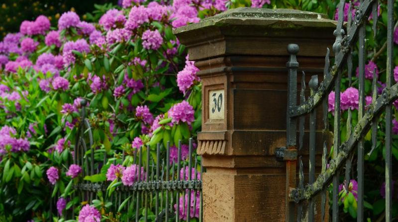 Green Fingers: Sometimes it just takes a mother’s touch 