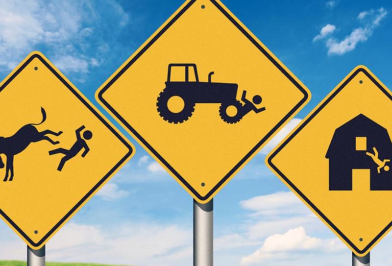 Weather woes affecting Limerick farmers