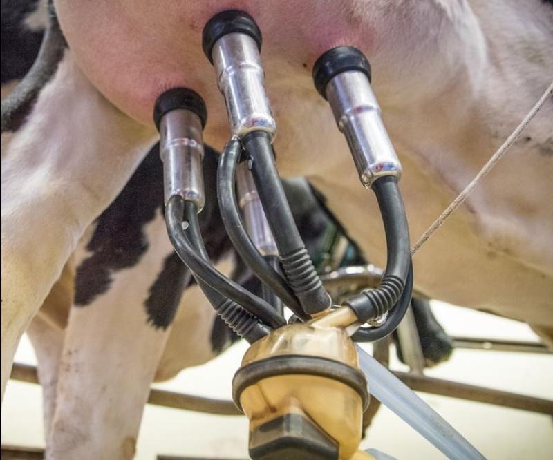 Theft from milking parlour in Nurney area 