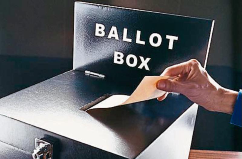 Information campaign to assist Limerick voters as they make history