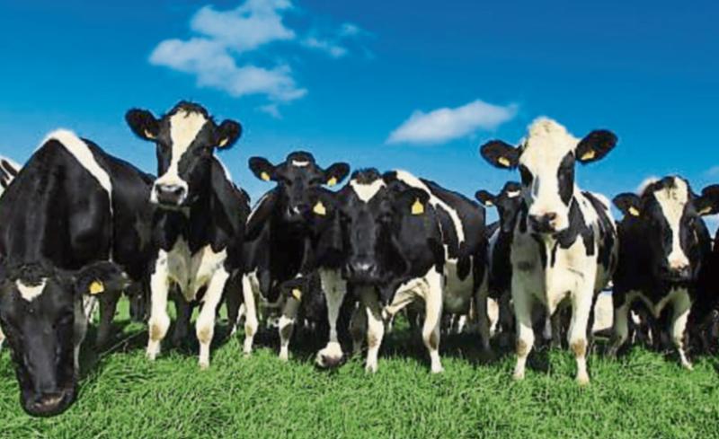 Farmers detail roadmap to easier and more enjoyable farming