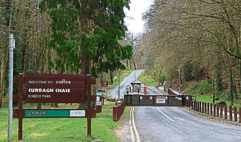 Surge in visiters to Limerick forest parks since lockdown