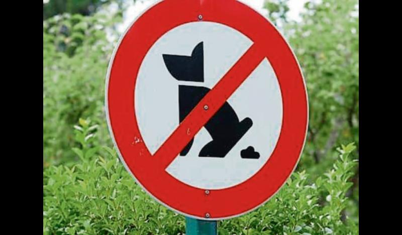 Stricter action on dog fouling urged in Leitrim