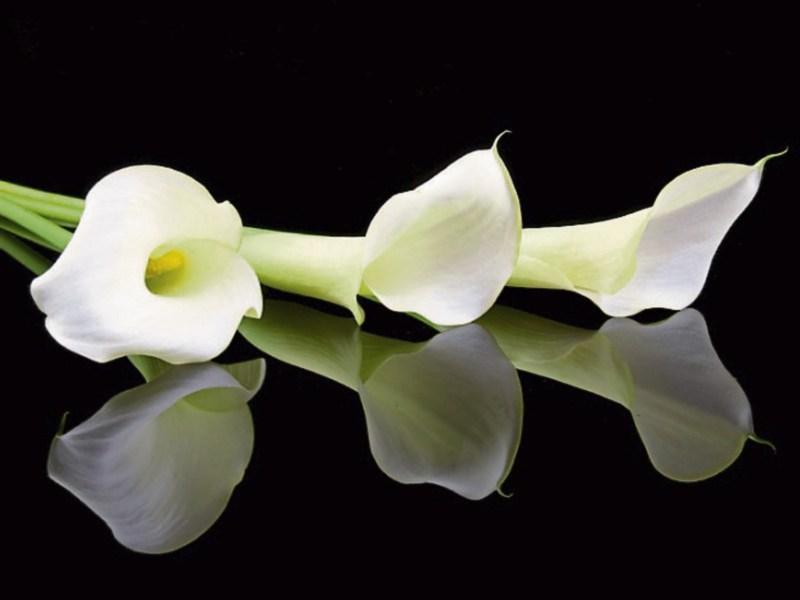 RIP: Tipperary deaths and funeral details, June 28