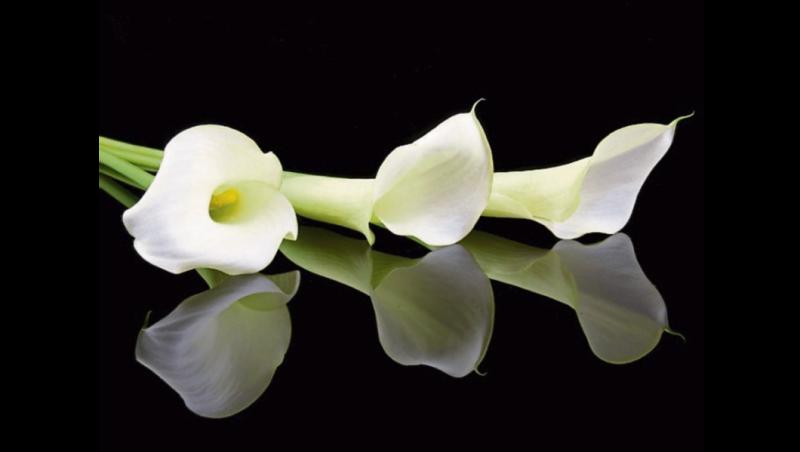 RIP: Tipperary deaths and funeral details, June 28