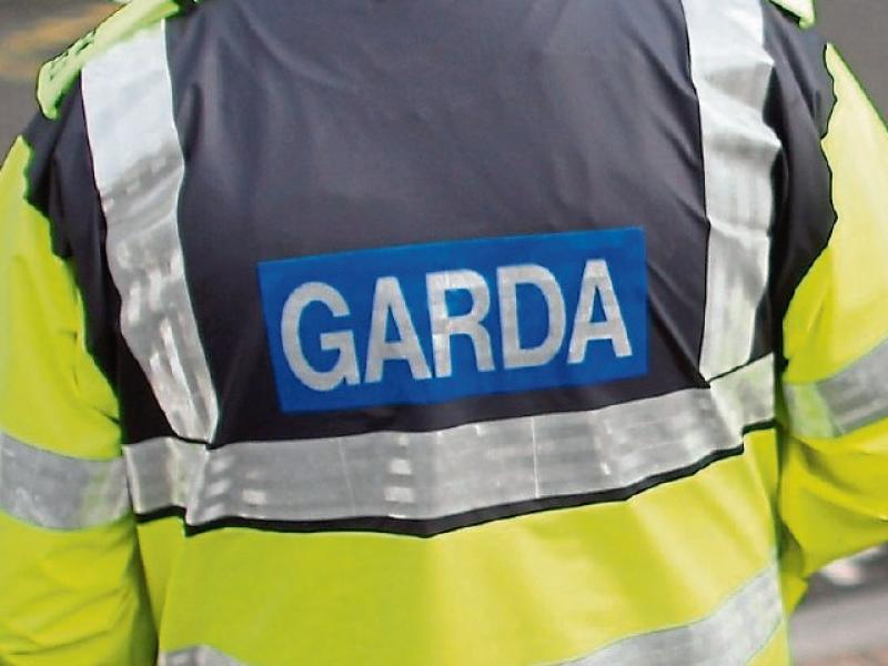 Woman in her 60s has purse stolen while shopping in Limerick