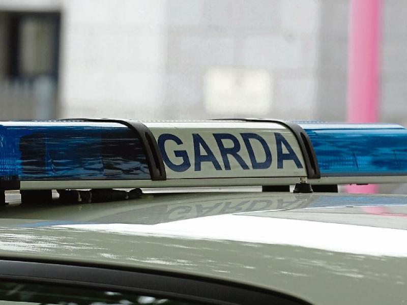 Skeletal remains discovered  in Limerick