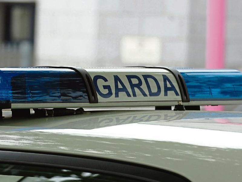 Gardai investigate after windows smashed at home in Limerick