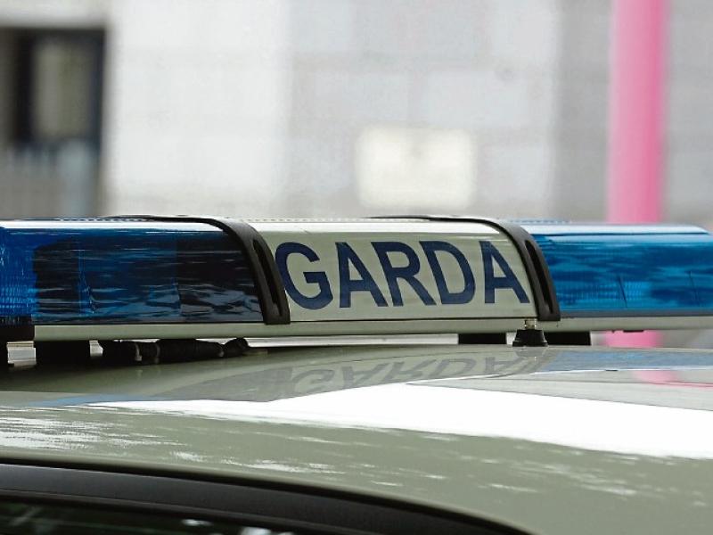 'Pure thuggery': Gardai investigate after home vandalised in Limerick town