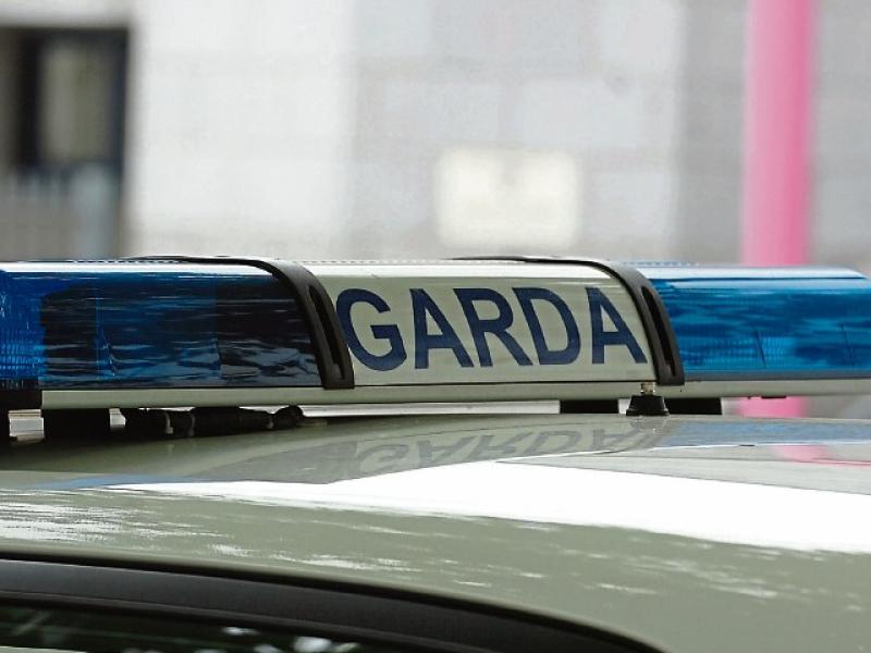 Armed gardai attend assault incident in Limerick village