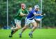 Fixtures confirmed: 24 club hurling championship games in Limerick this weekend
