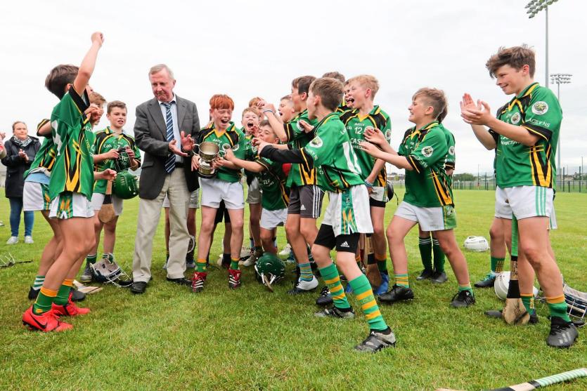 SLIDESHOW Lisnagry NS crowned Limerick Leader Cup champions for a