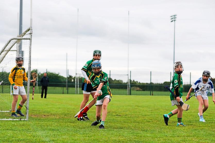 SLIDESHOW Lisnagry NS crowned Limerick Leader Cup champions for a