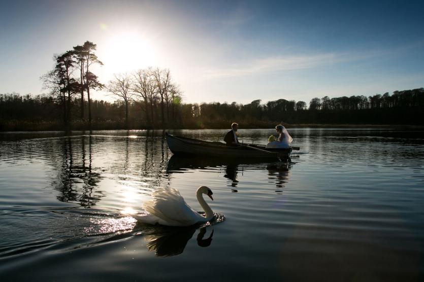 Swanning Around Perfectly