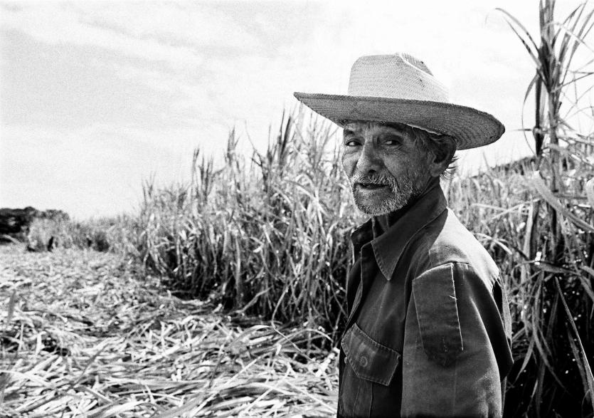Sugar Cane Man