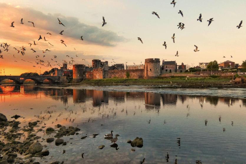 Amateur - Photographer: Niall Griffin