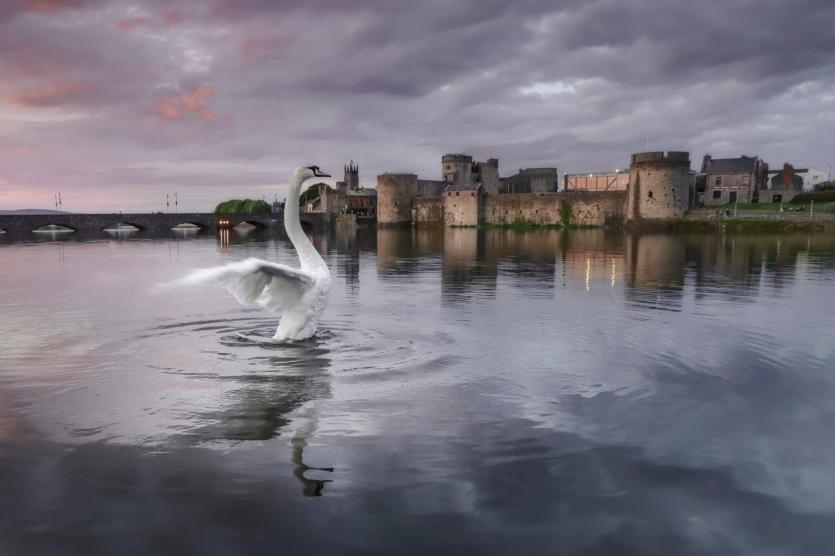 Amateur - Photographer: Anthony Kelly