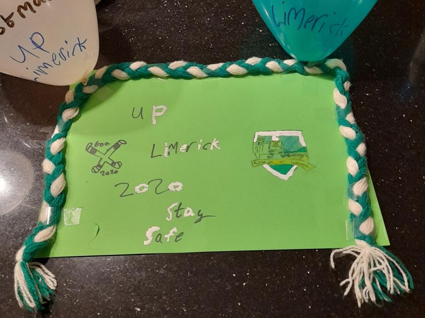 SLIDESHOW Limerick fans show their colours ahead of AllIreland this