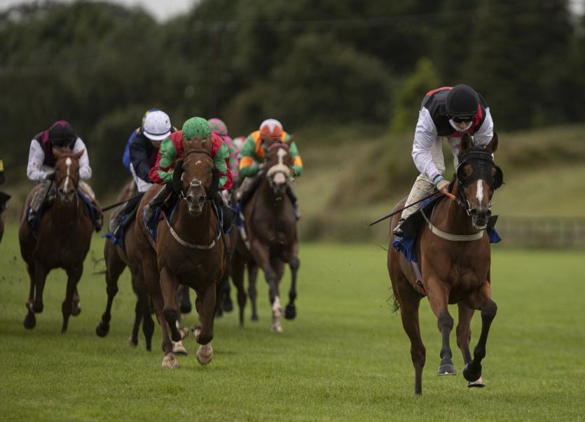 Limerick horse racing enthusiasts score notable wins Limerick Leader