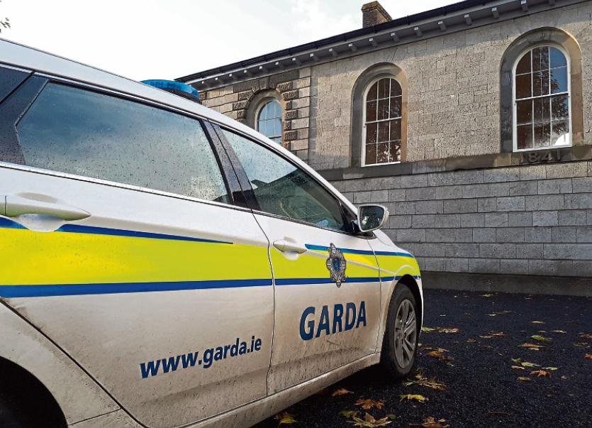 Limerick court hears that accused’s mental development is