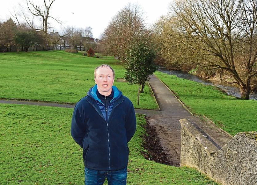 Calls for horse ban in Limerick town after animal trots into local gym