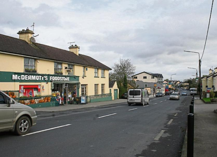 Locals object to plans for over 100 houses in County Limerick village