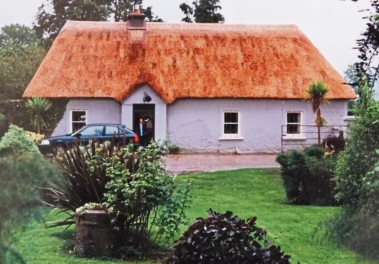 Concerns over wood burning stoves in thatched cottages raised at